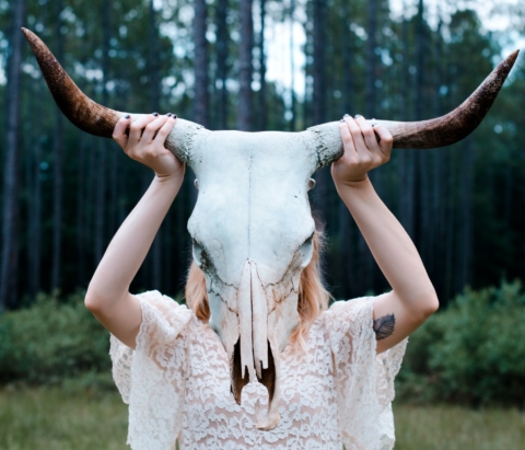 wyprawa z biebrzańską wiedźmą