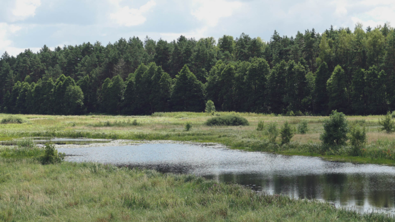 most na rzece narew