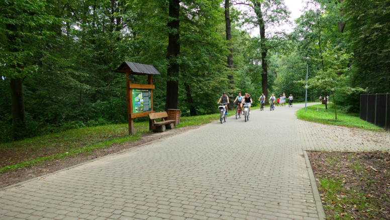 zabytkowy park w pszczynie