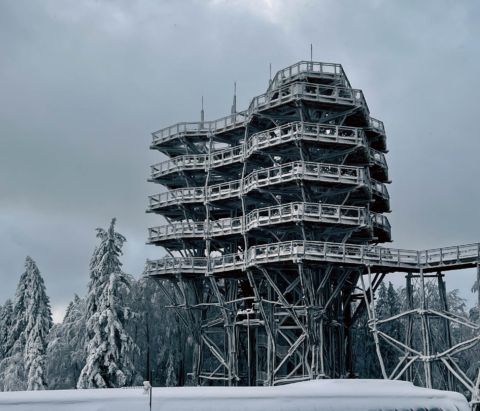 wieża widokowa