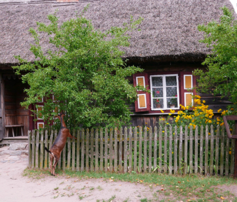 muzeum wsi mazowieckiej