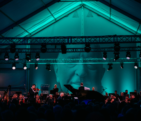 pałac radziejowice festiwal waldorffski